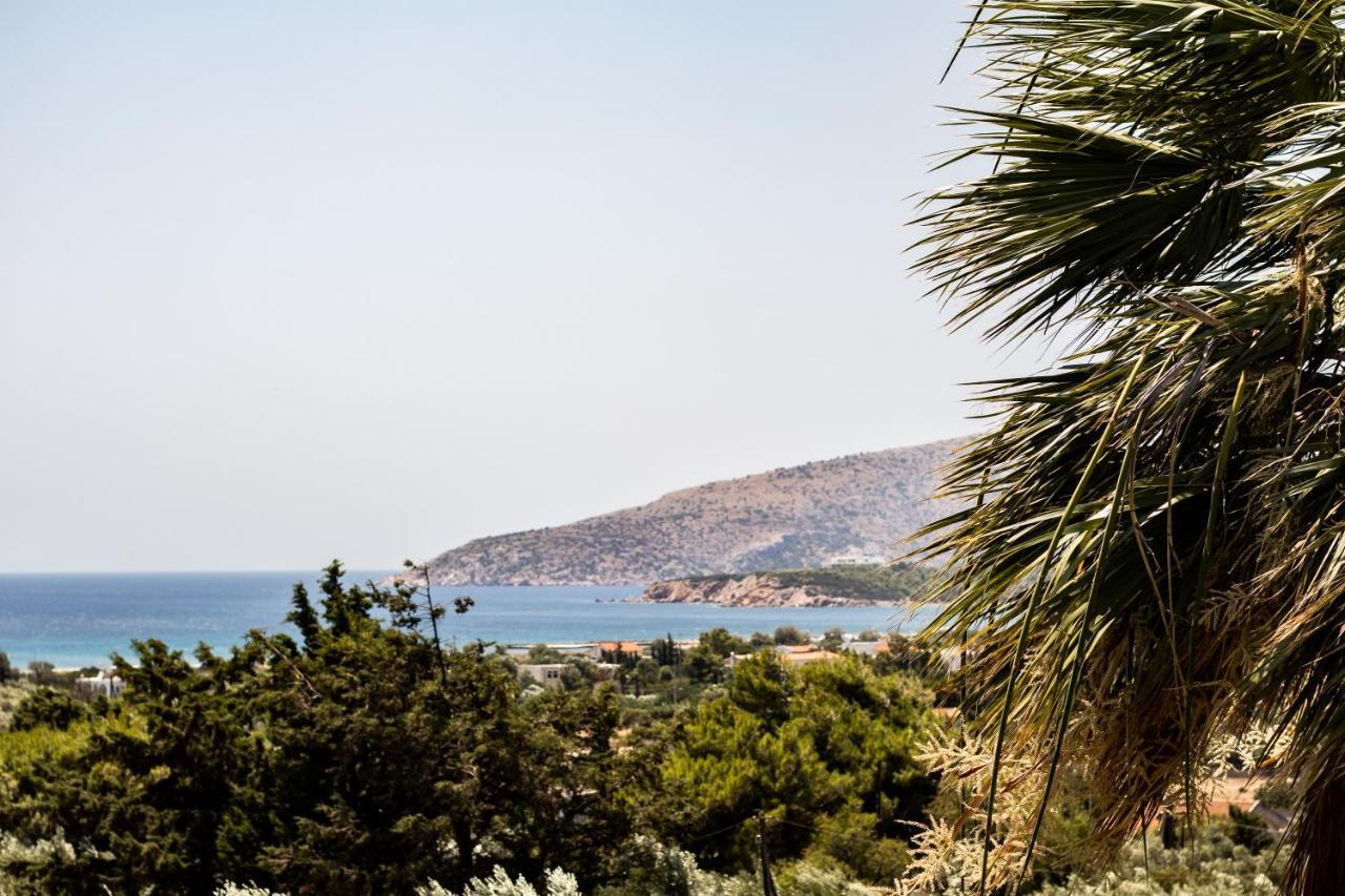 Villa Sounio Sounion Bagian luar foto